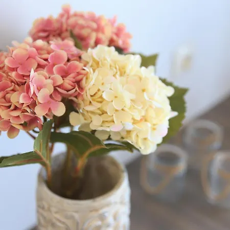 Apartmanhotel Sentimento