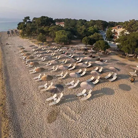 Sentimento 4* Prínosz