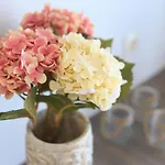 Ξενοδοχείο με διαμερίσματα Sentimento