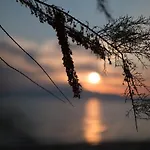 Sentimento Πρίνος