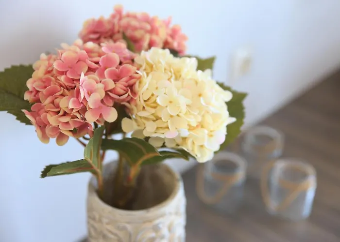 Ξενοδοχείο με διαμερίσματα Sentimento