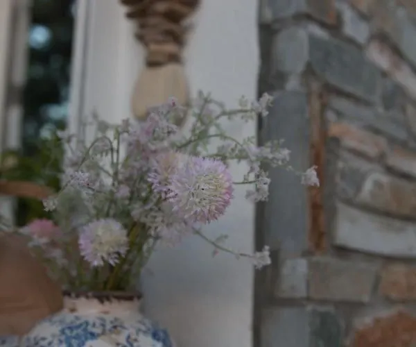 Ξενοδοχείο με διαμερίσματα Sentimento Πρίνος