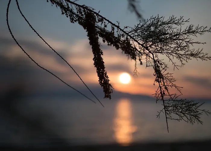 Sentimento Πρίνος